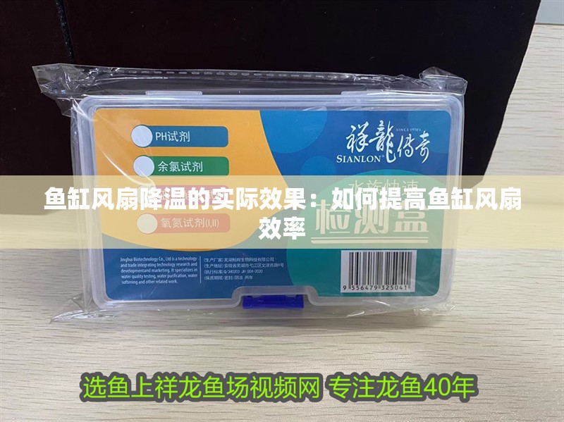 魚缸風扇降溫的實際效果：如何提高魚缸風扇效率