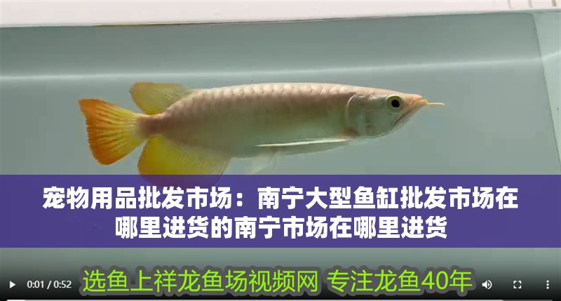 寵物用品批發市場：南寧大型魚缸批發市場在哪里進貨的南寧市場在哪里進貨