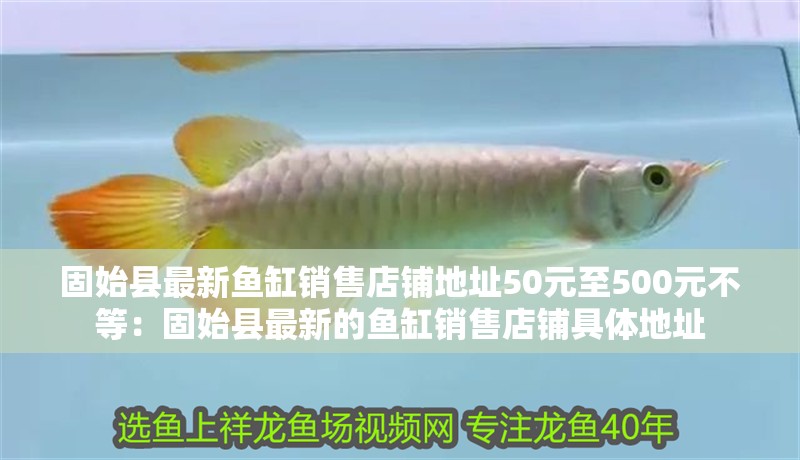 固始縣最新魚缸銷售店鋪地址50元至500元不等：固始縣最新的魚缸銷售店鋪具體地址
