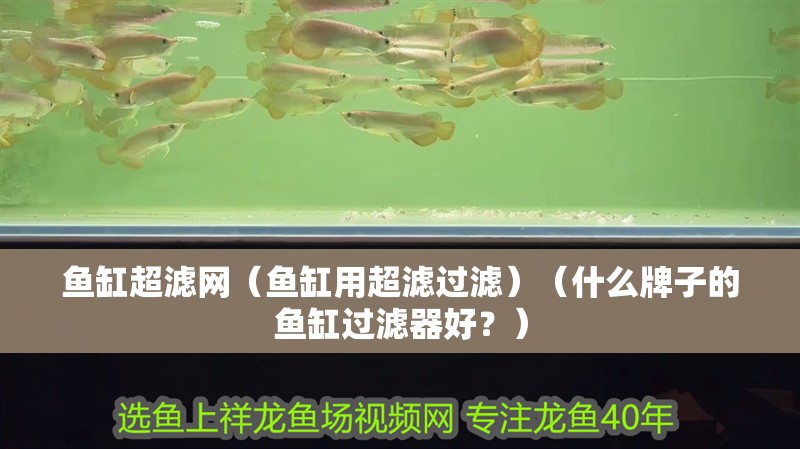 魚缸超濾網（魚缸用超濾過濾）（什么牌子的魚缸過濾器好？）