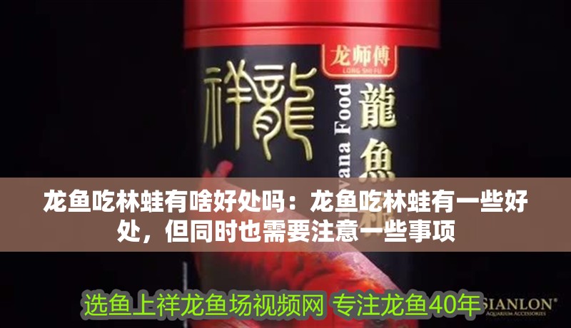 龍魚吃林蛙有啥好處嗎：龍魚吃林蛙有一些好處，但同時也需要注意一些事項