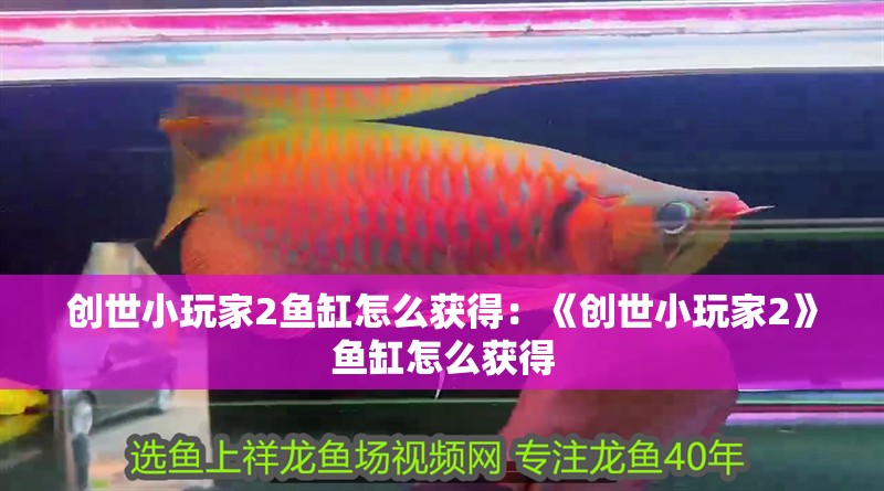 創世小玩家2魚缸怎么獲得：《創世小玩家2》魚缸怎么獲得