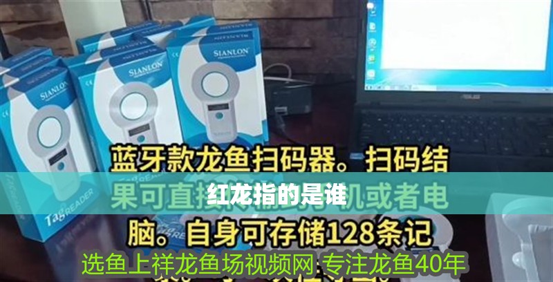 紅龍指的是誰