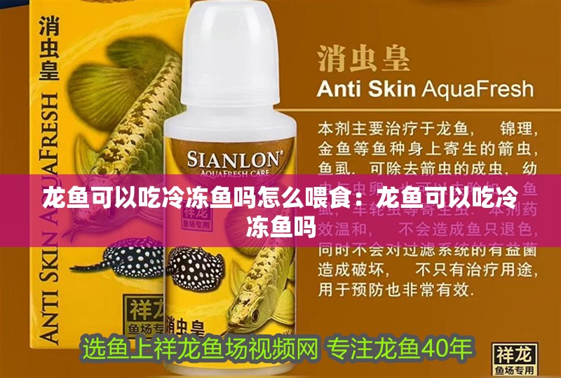 龍魚可以吃冷凍魚嗎怎么喂食：龍魚可以吃冷凍魚嗎