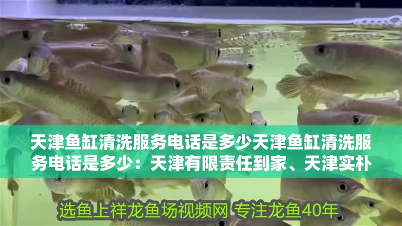 天津魚缸清洗服務電話是多少天津魚缸清洗服務電話是多少：天津有限責任到家、天津實樸檢測技術、天津實樸檢測技術