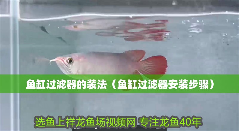 魚缸過濾器的裝法（魚缸過濾器安裝步驟）