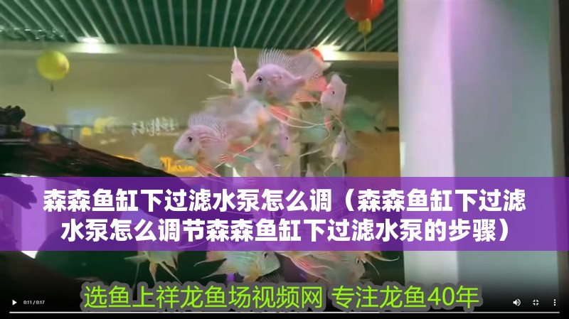 森森魚缸下過濾水泵怎么調（森森魚缸下過濾水泵怎么調節森森魚缸下過濾水泵的步驟）