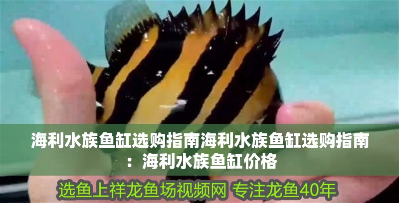 海利水族魚缸選購指南海利水族魚缸選購指南：海利水族魚缸價格