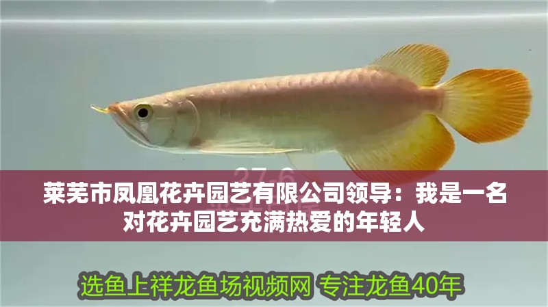 萊蕪市鳳凰花卉園藝有限公司領導：我是一名對花卉園藝充滿熱愛的年輕人