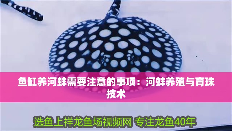 魚缸養河蚌需要注意的事項：河蚌養殖與育珠技術