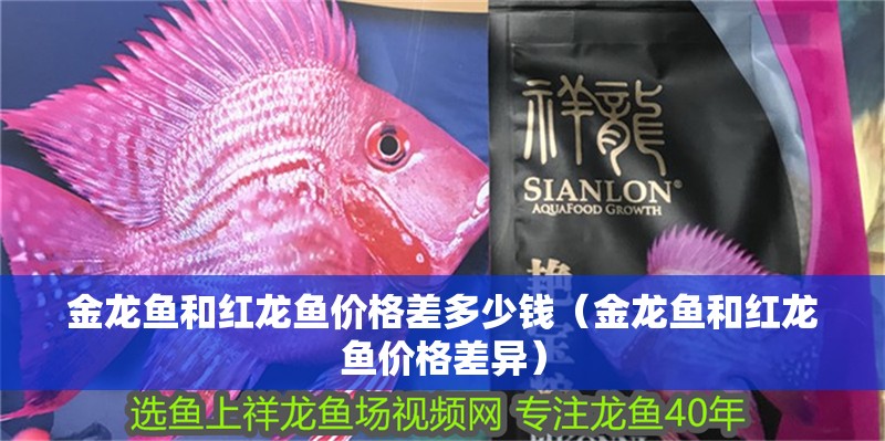 金龍魚和紅龍魚價格差多少錢（金龍魚和紅龍魚價格差異）