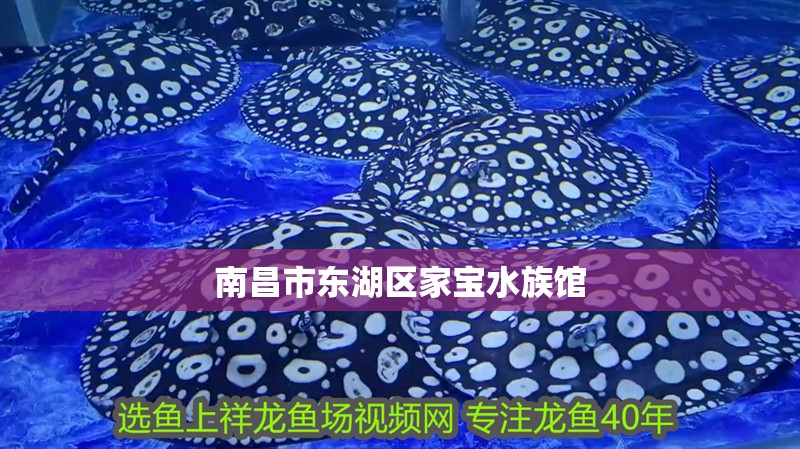 南昌市東湖區(qū)家寶水族館