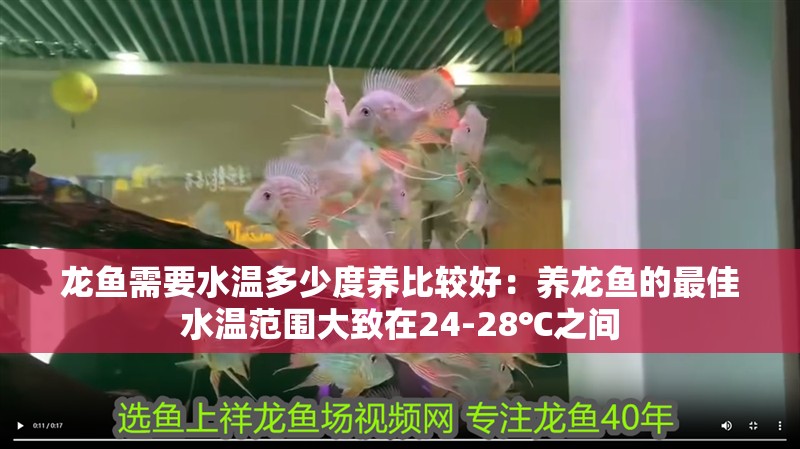 龍魚需要水溫多少度養比較好：養龍魚的最佳水溫范圍大致在24-28℃之間