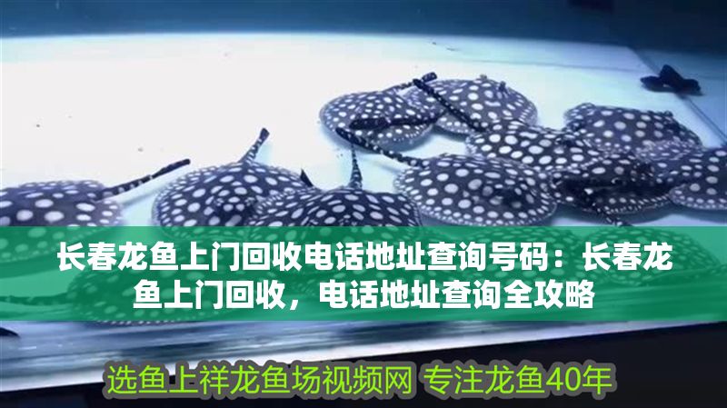 長春龍魚上門回收電話地址查詢號碼：長春龍魚上門回收，電話地址查詢全攻略
