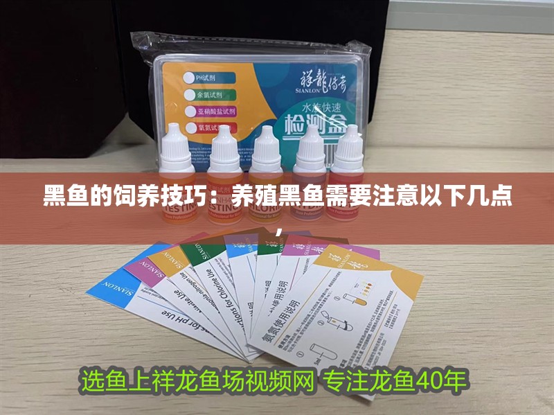 黑魚的飼養技巧：養殖黑魚需要注意以下幾點，