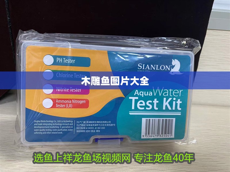 木雕魚圖片大全