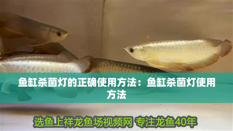 魚缸殺菌燈的正確使用方法：魚缸殺菌燈使用方法