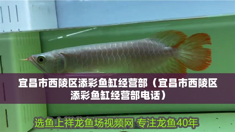 <strong><mark>宜昌</mark></strong>市西陵區添彩魚缸經營部（<strong><mark>宜昌</mark></strong>市西陵區添彩魚缸經營部電話）