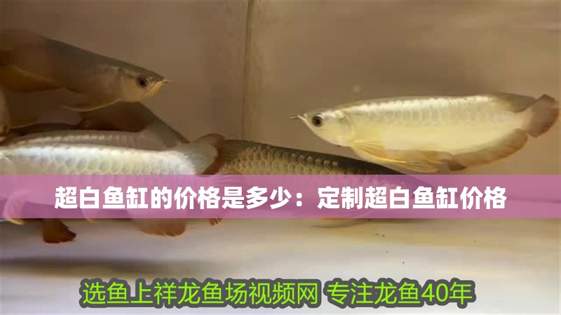 超白魚缸的價格是多少：定制超白魚缸價格