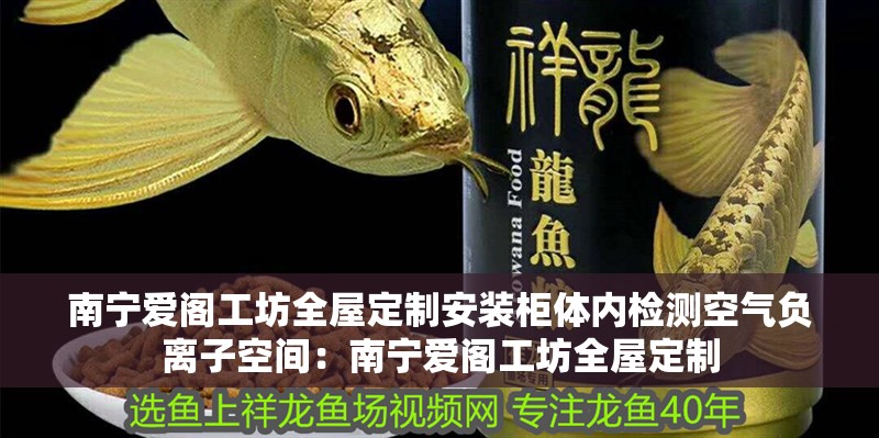 南寧愛閣工坊全屋定制安裝柜體內檢測空氣負離子空間：南寧愛閣工坊全屋定制