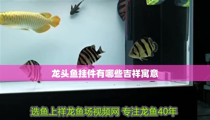 龍頭魚掛件有哪些吉祥寓意