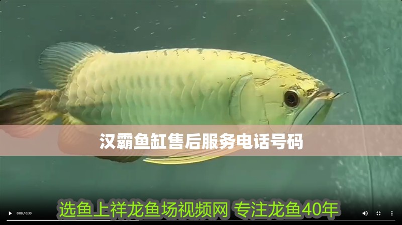 漢霸魚缸售后服務(wù)電話號碼 漢霸魚缸售后服務(wù)電話號碼 魚缸百科