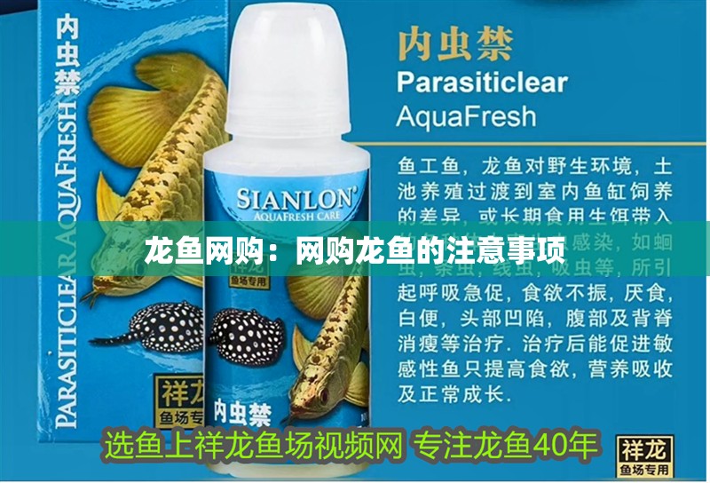 龍魚網購：網購龍魚的注意事項