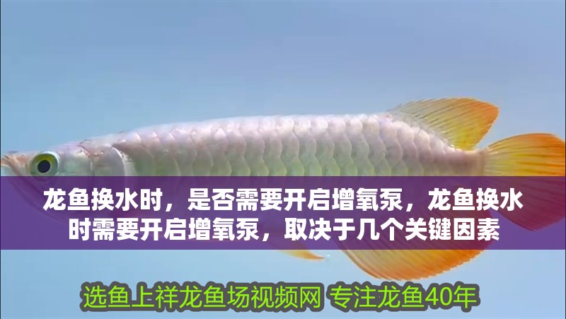 龍魚換水時(shí)，是否需要開啟增氧泵，龍魚換水時(shí)需要開啟增氧泵，取決于幾個(gè)關(guān)鍵因素