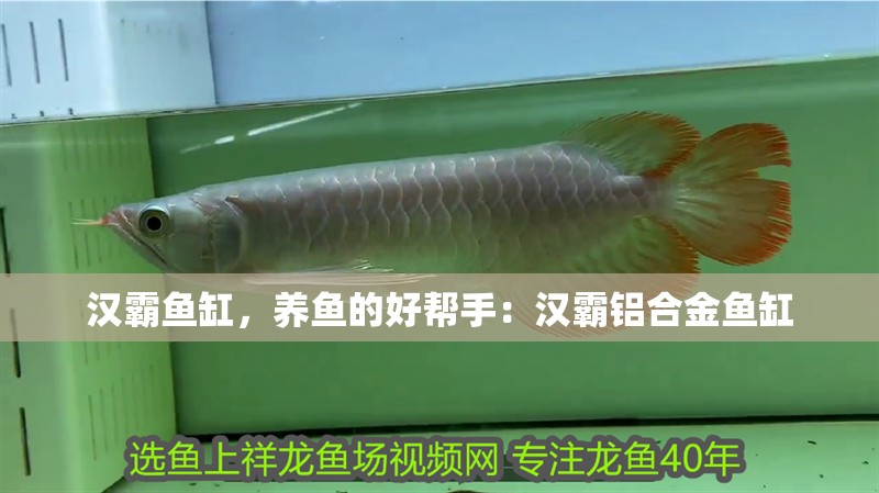 漢霸魚缸，養魚的好幫手：漢霸鋁合金魚缸