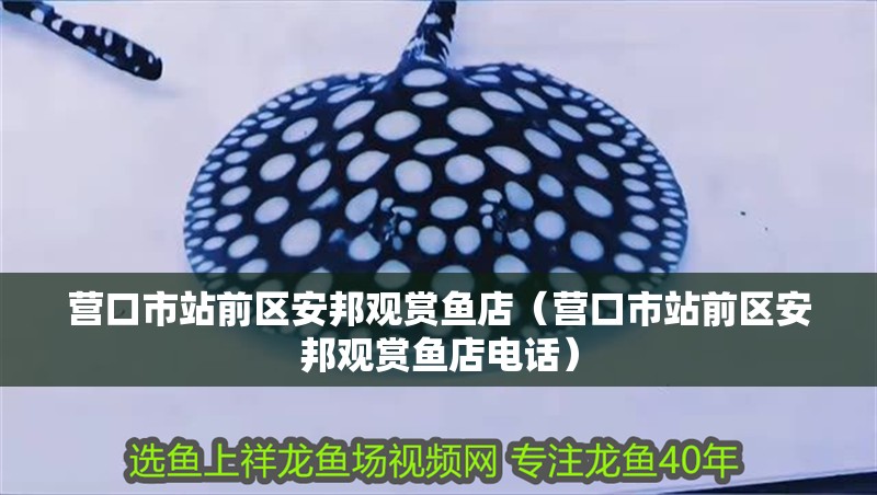 營口市站前區安邦觀賞魚店（營口市站前區安邦觀賞魚店電話）