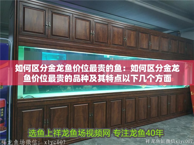 如何區分金龍魚價位最貴的魚：如何區分金龍魚價位最貴的品種及其特點以下幾個方面