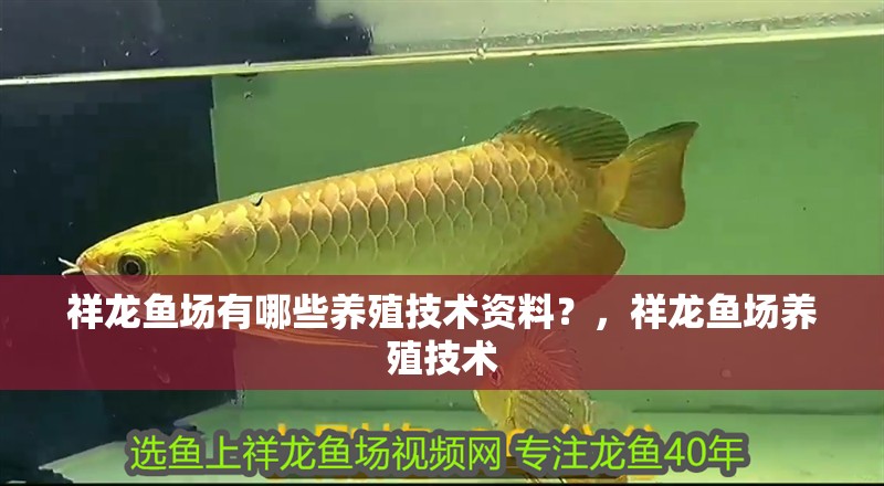祥龍魚場有哪些養殖技術資料？，祥龍魚場養殖技術