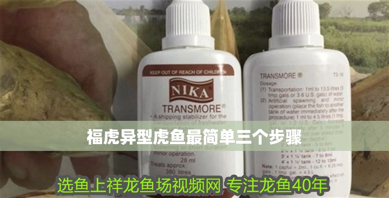 福虎異型虎魚最簡單三個步驟