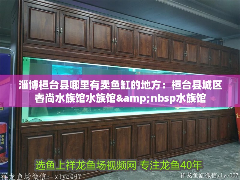 淄博桓臺縣哪里有賣魚缸的地方：桓臺縣城區睿尚水族館水族館&nbsp水族館