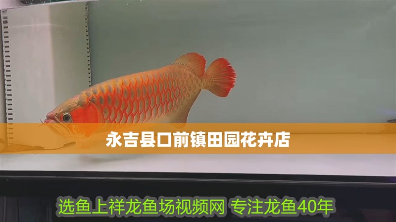 永吉縣口前鎮田園花卉店