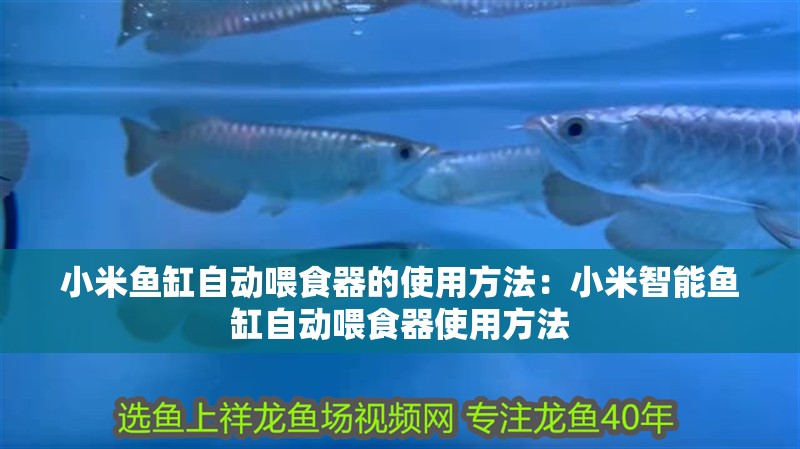 我的虎魚真菌感染了要怎么處理 小米魚缸自動喂食器的使用方法:小米智能魚缸自動喂食器使用方法 魚缸百科 小米魚缸自動喂食器的使用方法:小米智能魚缸自動喂食器使用方法 小米魚缸自動喂食器的使用方法:小米智能魚缸自動喂食器使用方法 魚缸百科