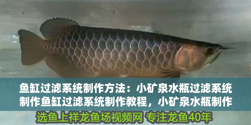 魚缸過濾系統制作方法：小礦泉水瓶過濾系統制作魚缸過濾系統制作教程，小礦泉水瓶制作教程