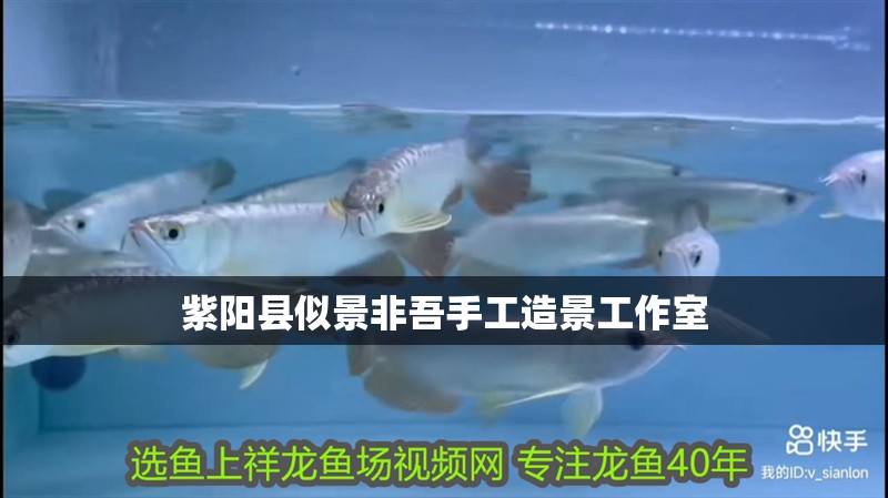 紫陽縣似景非吾手工造景工作室