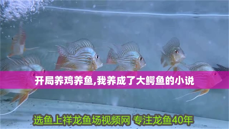 開局養雞養魚,我養成了大鱷魚的小說