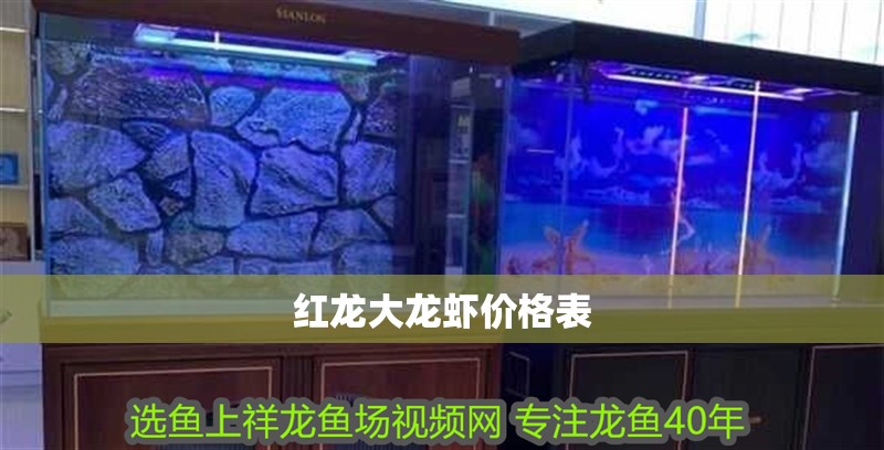 紅龍大龍蝦價格表