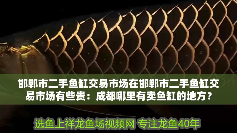 邯鄲市二手魚缸交易市場在邯鄲市二手魚缸交易市場有些貴：成都哪里有賣魚缸的地方？