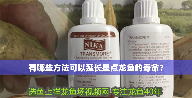 魚缸用增氧泵價格是多少:魚缸增氧機-xtrac增氧機-xtrac增氧機 有哪些方法可以延長星點龍魚的壽命? 龍魚論壇 有哪些方法可以延長星點龍魚的壽命? 有哪些方法可以延長星點龍魚的壽命? 龍魚論壇