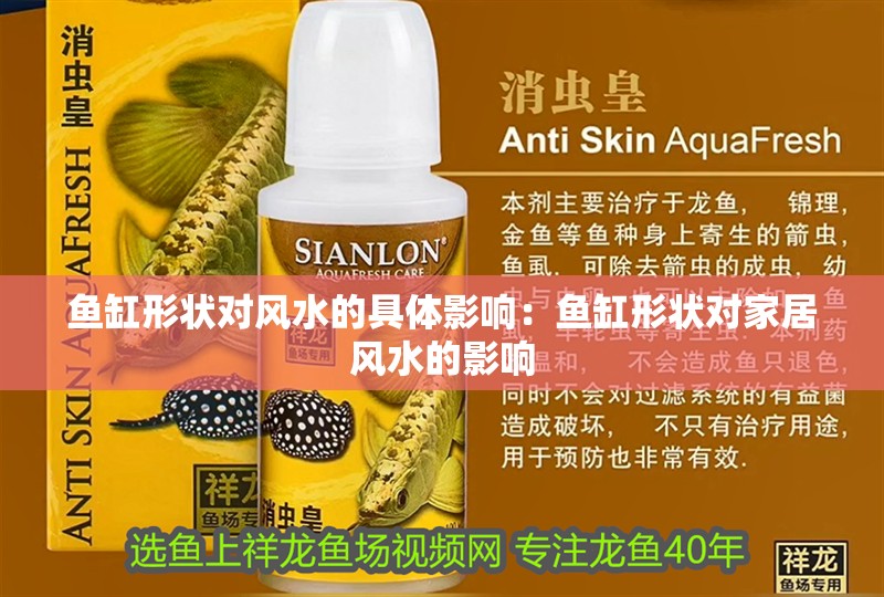 魚缸形狀對風水的具體影響：魚缸形狀對家居風水的影響