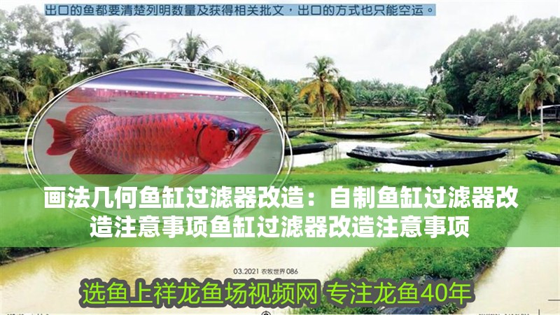 畫法幾何魚缸過濾器改造：自制魚缸過濾器改造注意事項魚缸過濾器改造注意事項