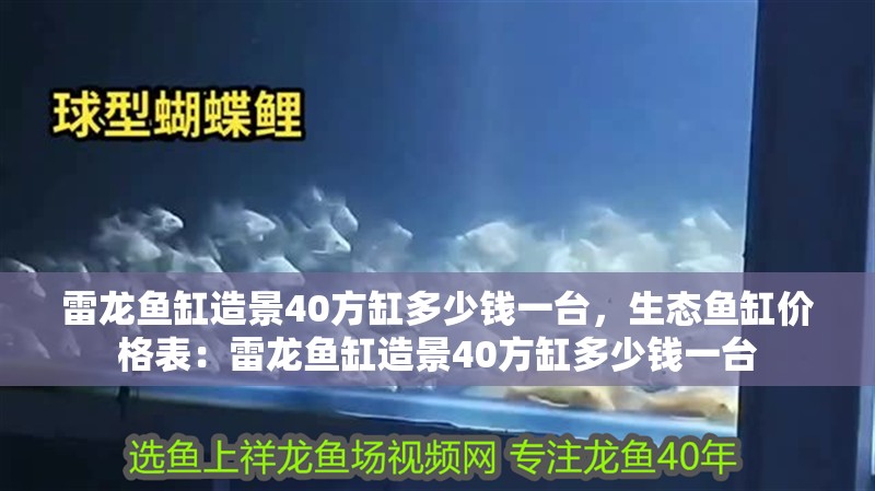 雷龍魚缸造景40方缸多少錢一臺，生態魚缸價格表：雷龍魚缸造景40方缸多少錢一臺