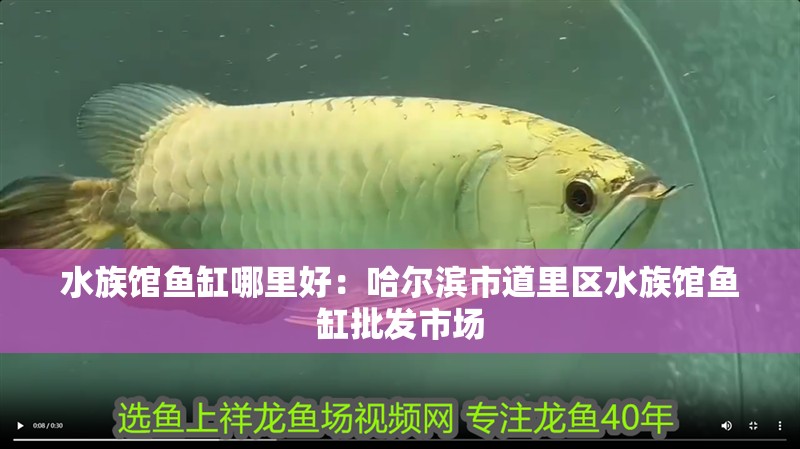 水族館魚缸哪里好：哈爾濱市<strong><mark>道里</mark></strong>區水族館魚缸批發市場