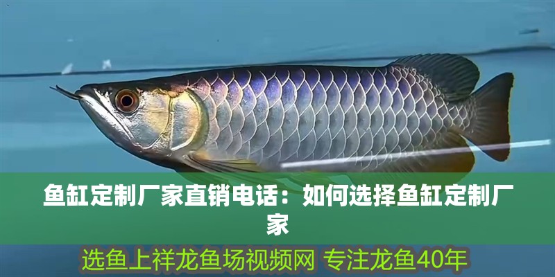 魚(yú)缸定制廠家直銷(xiāo)電話：如何選擇魚(yú)缸定制廠家