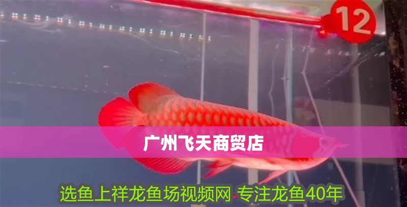廣州飛天商貿店