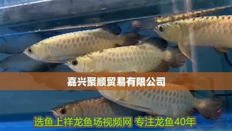 嘉興聚順貿易有限公司