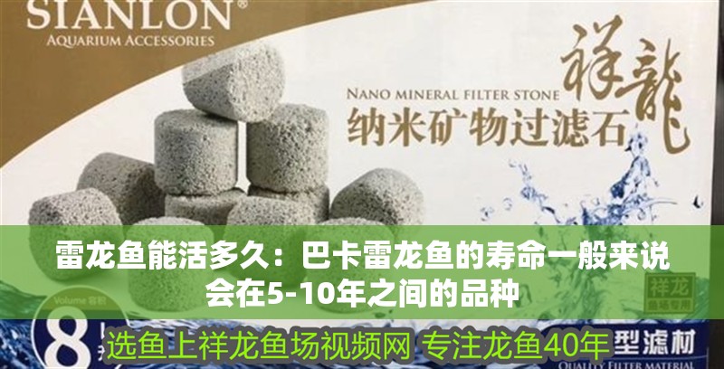 雷龍魚能活多久：巴卡雷龍魚的壽命一般來說會在5-10年之間的品種